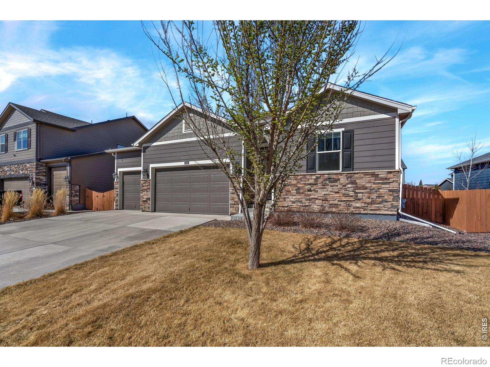 MLS Image #38 for 1668  gratton court,windsor, Colorado