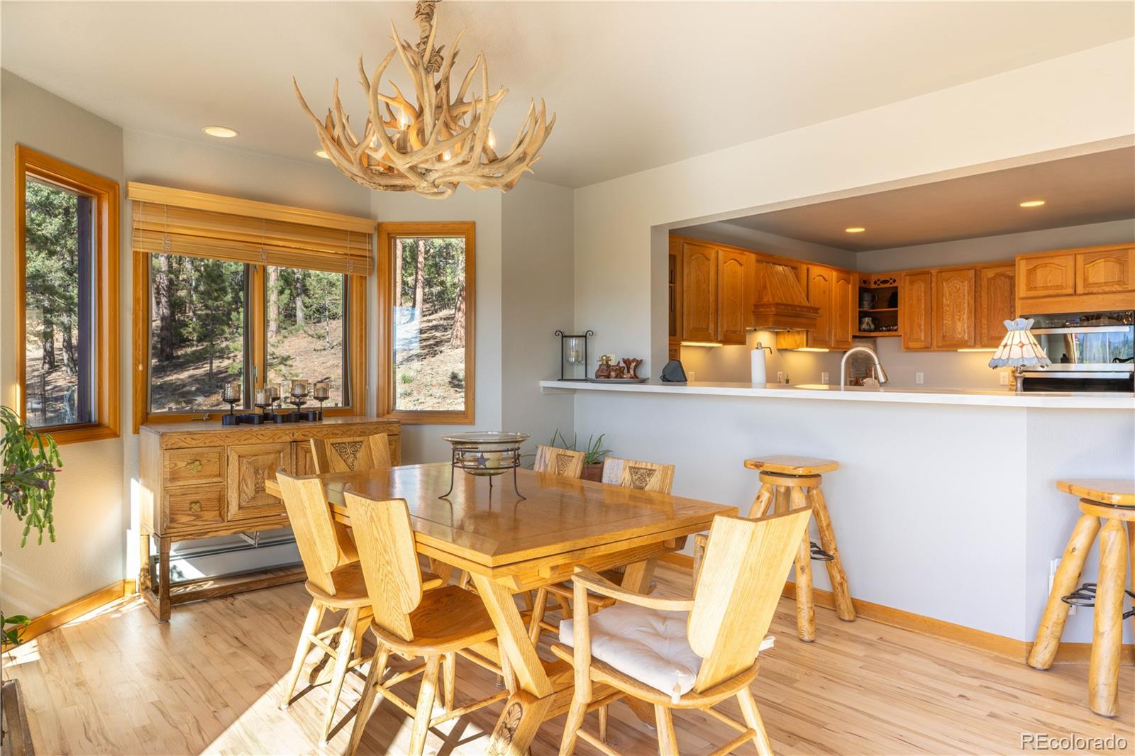 MLS Image #10 for 318  road d ,pine, Colorado