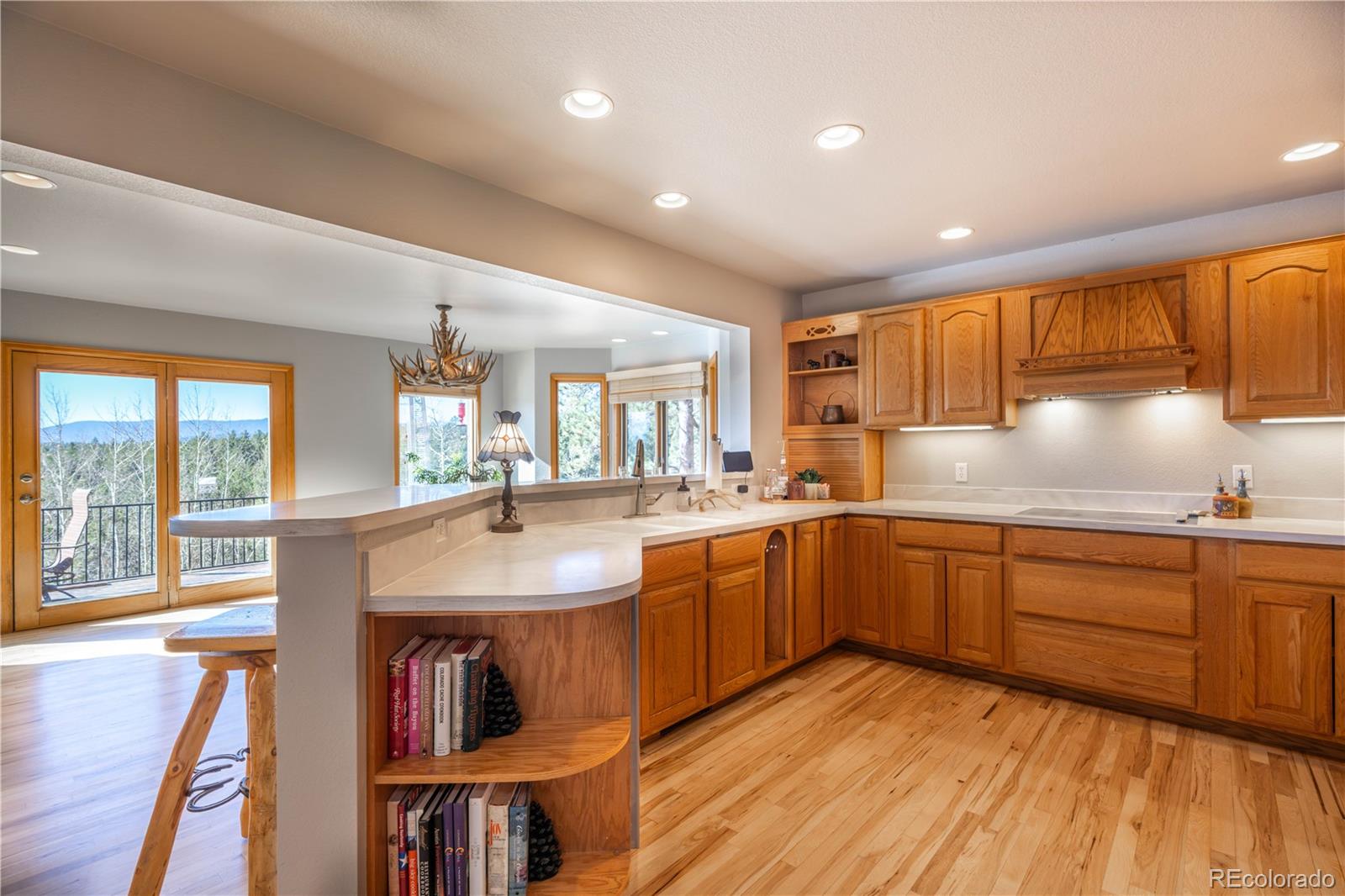 MLS Image #11 for 318  road d ,pine, Colorado