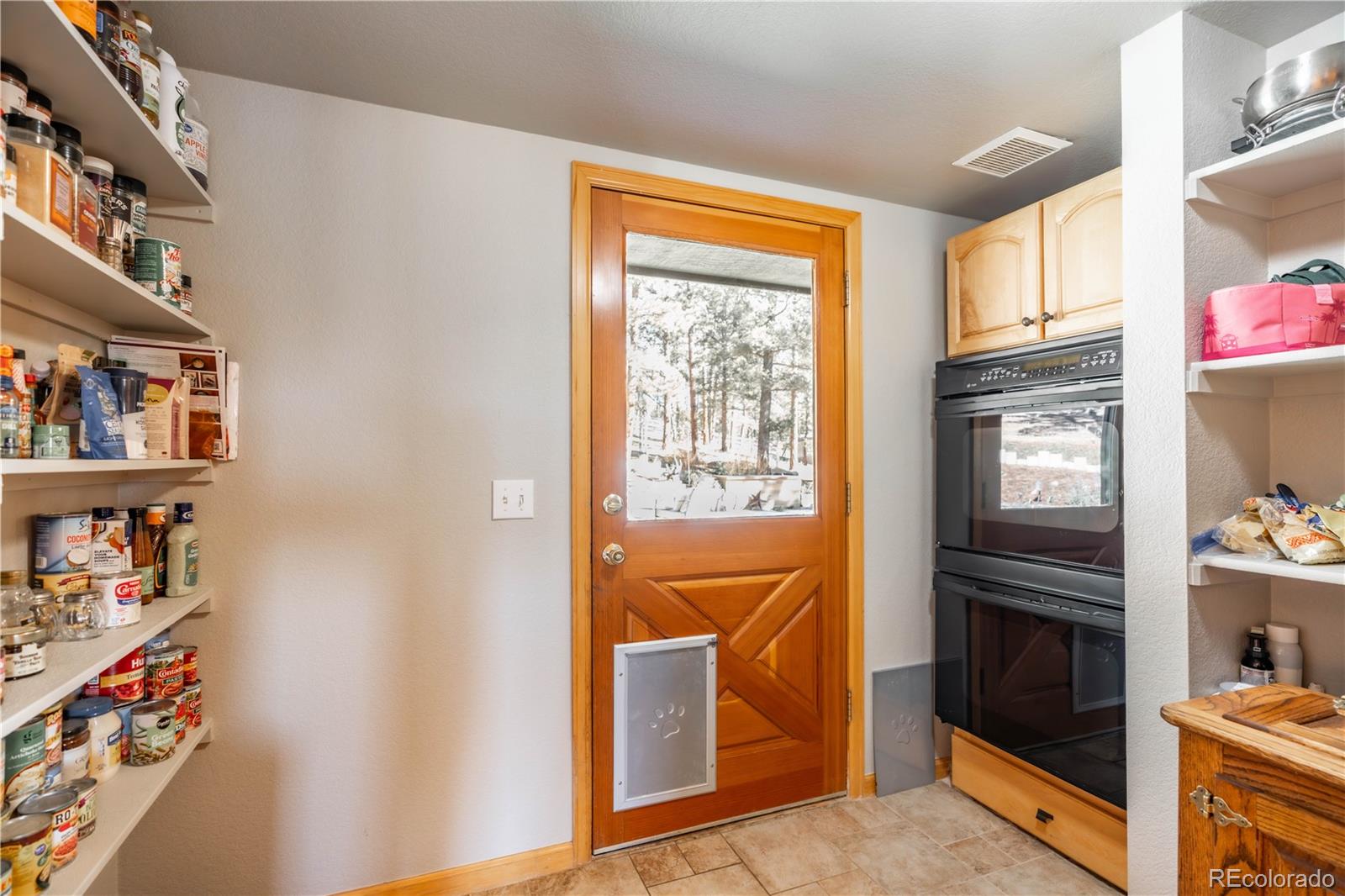 MLS Image #14 for 318  road d ,pine, Colorado