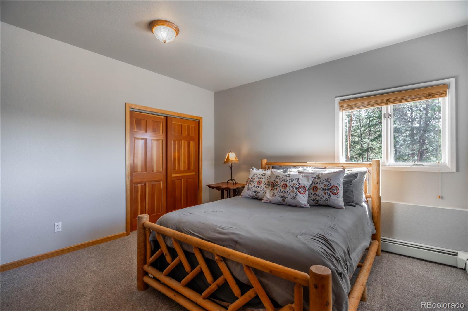MLS Image #31 for 318  road d ,pine, Colorado