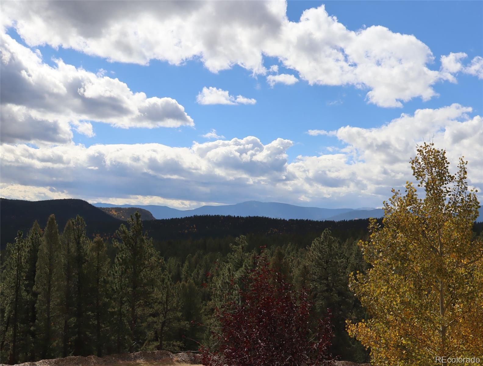 MLS Image #46 for 318  road d ,pine, Colorado
