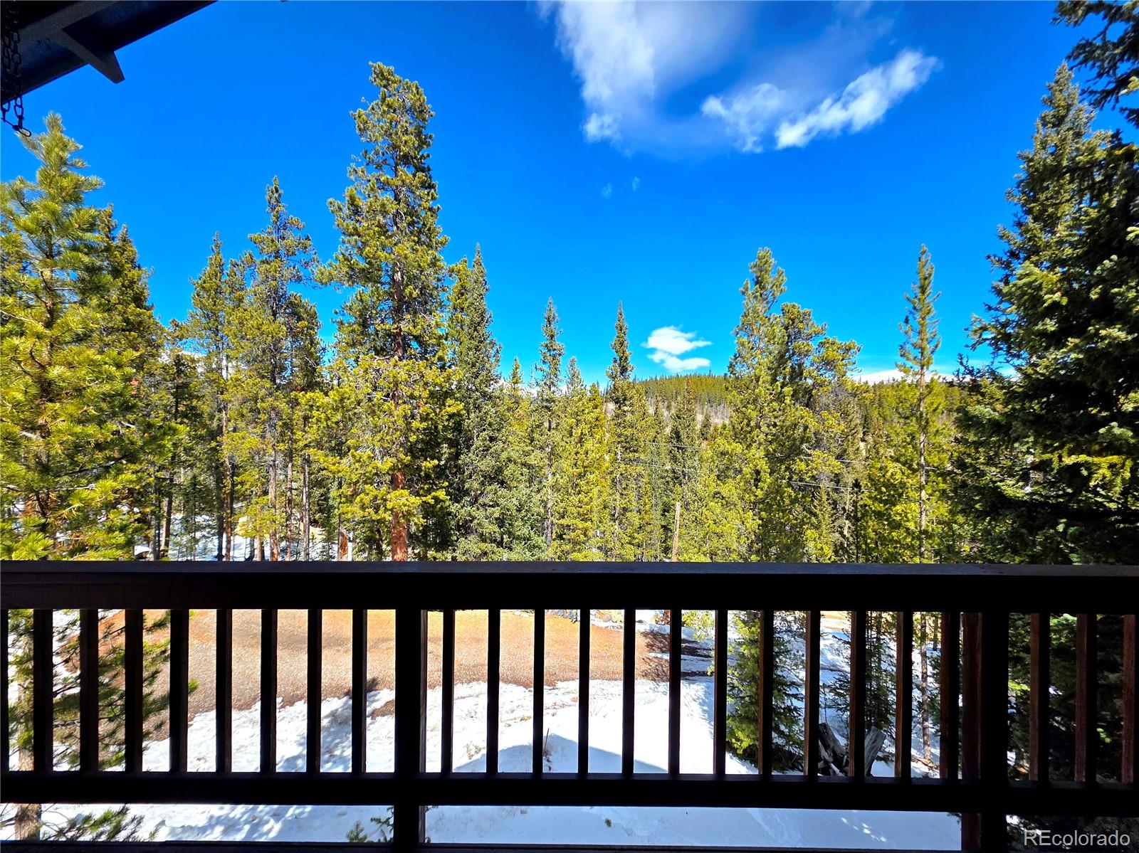 MLS Image #10 for 211  pine ridge road,alma, Colorado