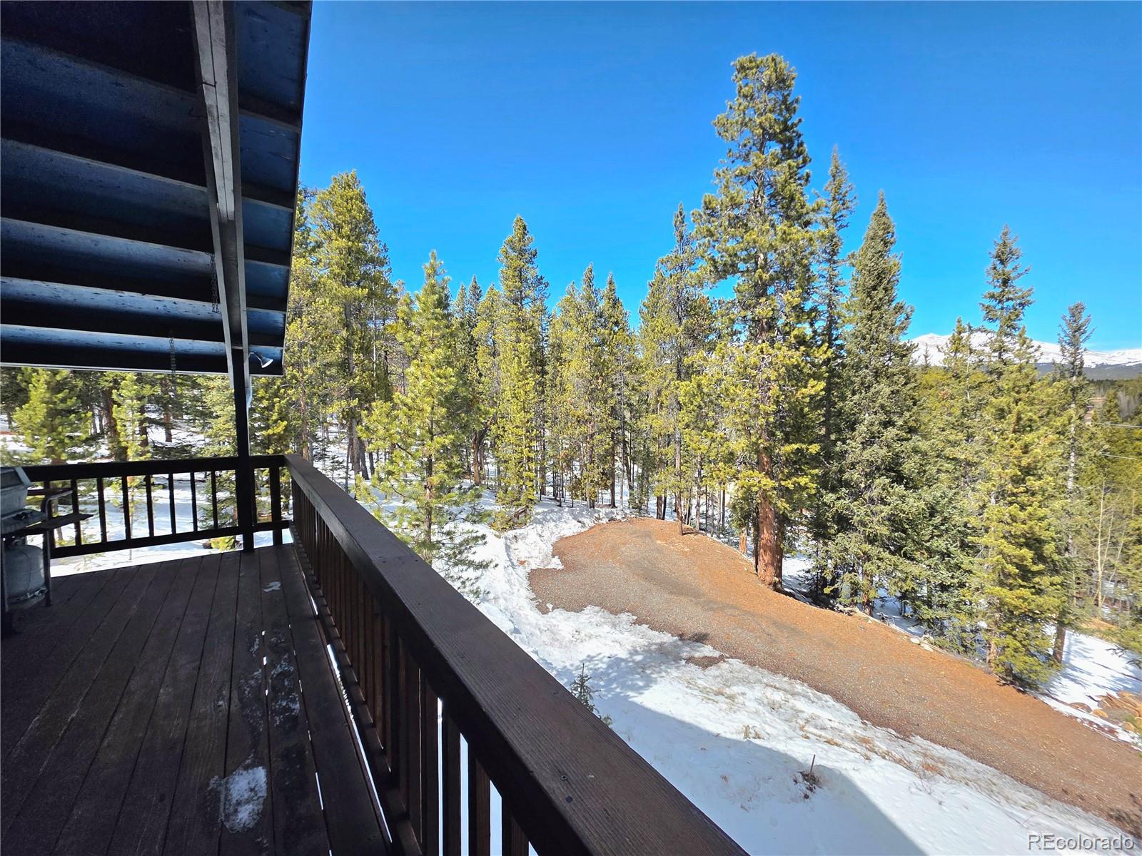 MLS Image #11 for 211  pine ridge road,alma, Colorado