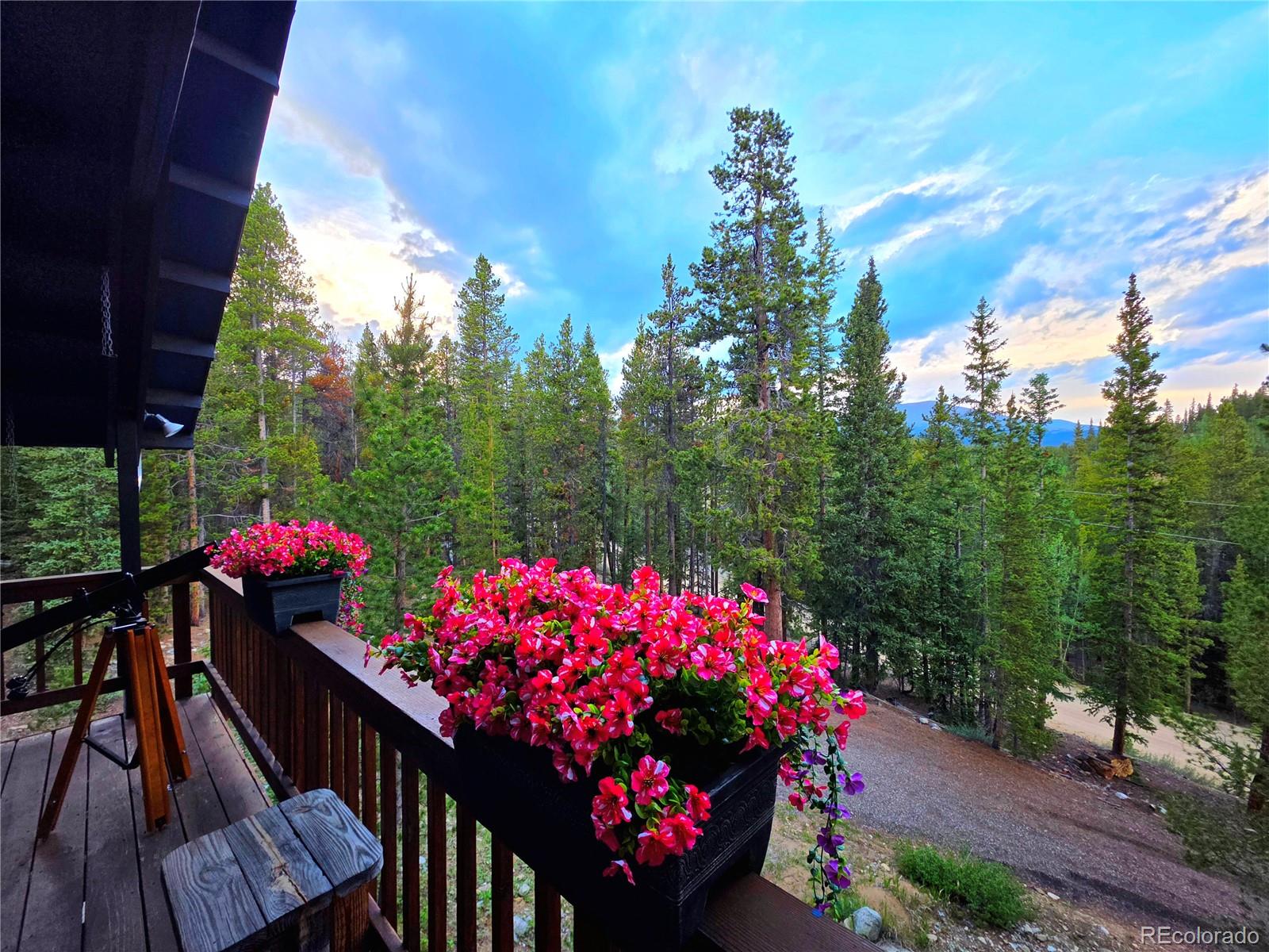 MLS Image #12 for 211  pine ridge road,alma, Colorado
