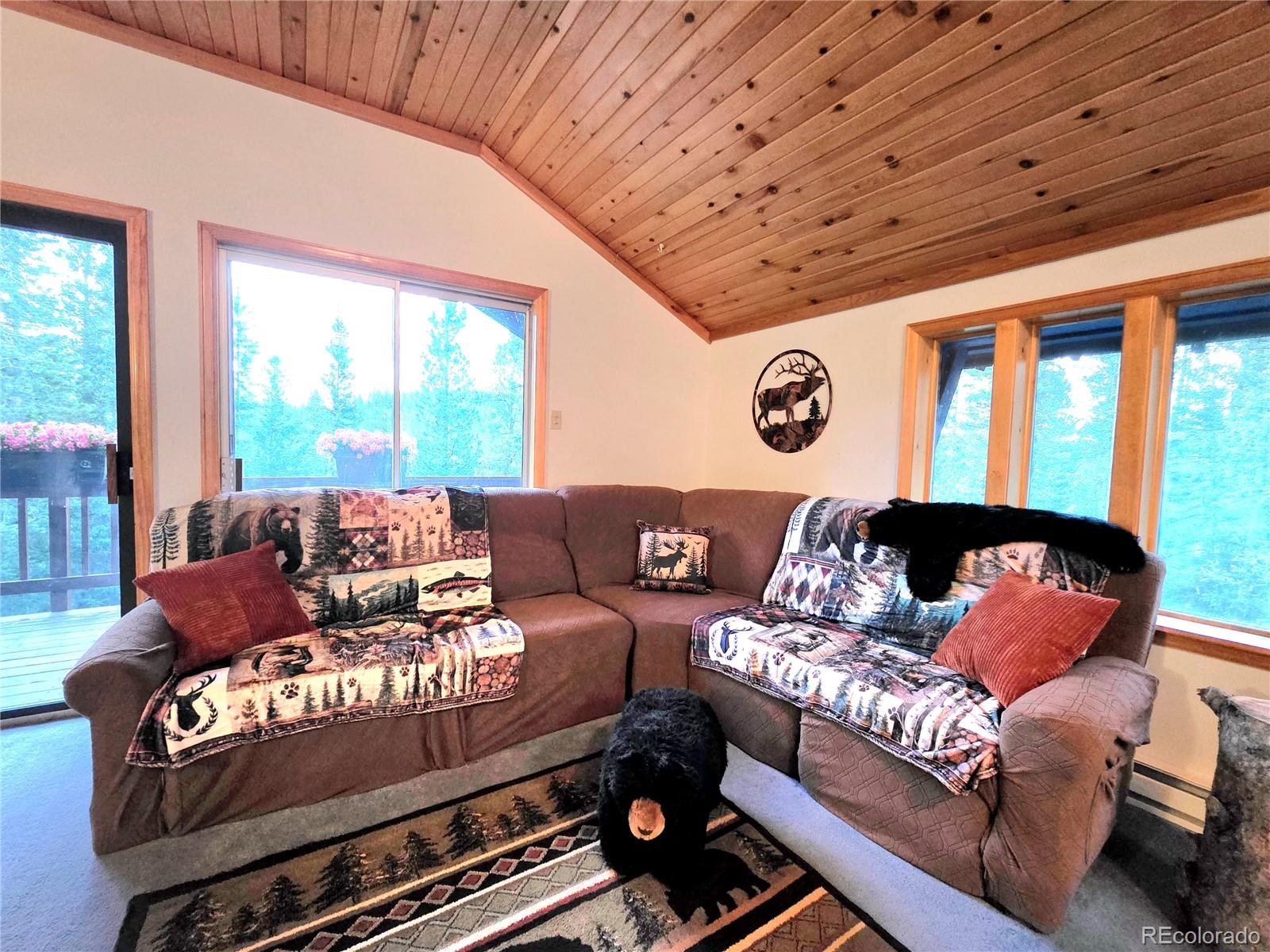 MLS Image #14 for 211  pine ridge road,alma, Colorado