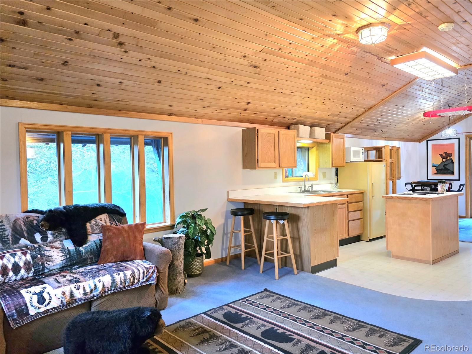 MLS Image #15 for 211  pine ridge road,alma, Colorado