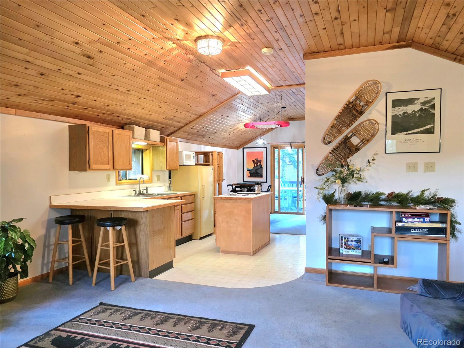 MLS Image #16 for 211  pine ridge road,alma, Colorado