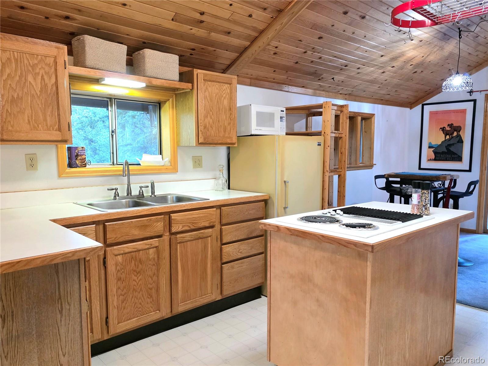 MLS Image #18 for 211  pine ridge road,alma, Colorado
