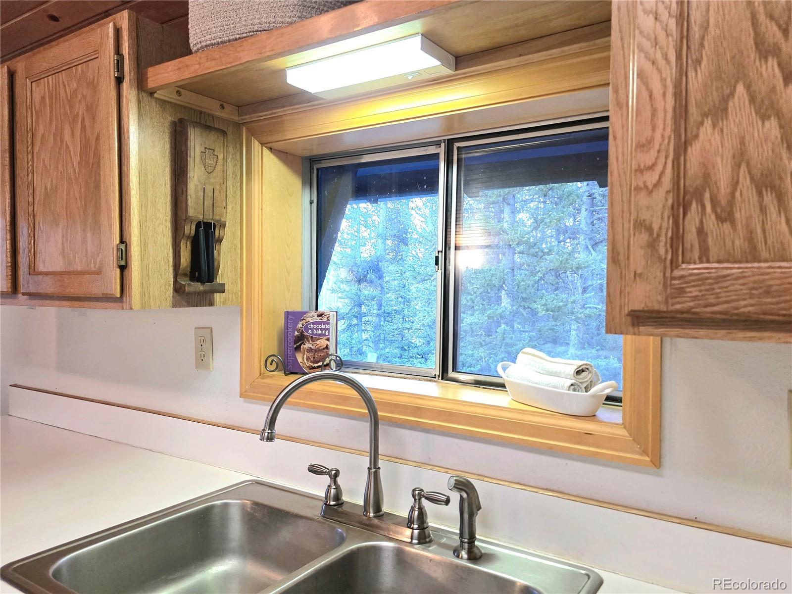 MLS Image #19 for 211  pine ridge road,alma, Colorado