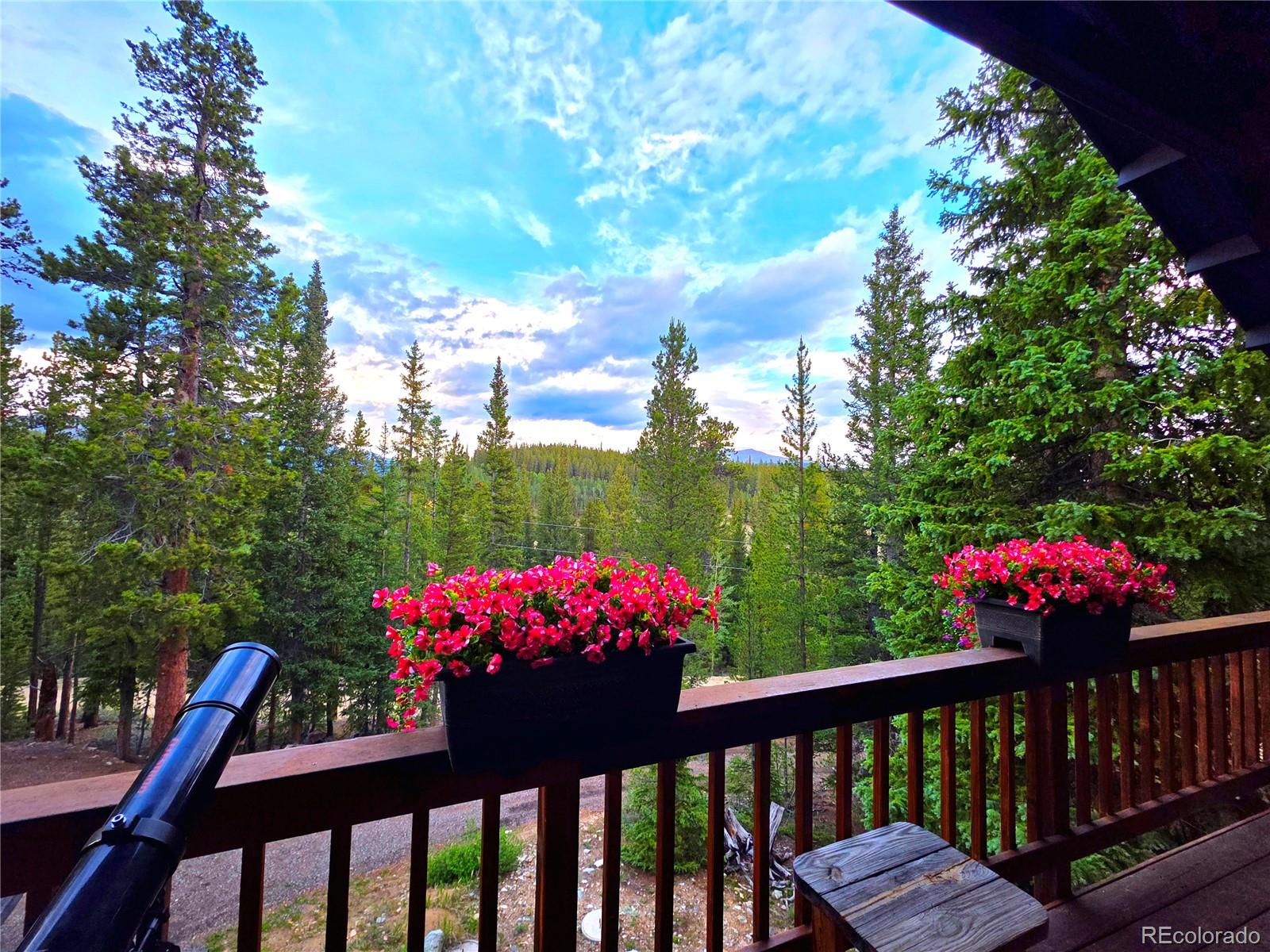 MLS Image #2 for 211  pine ridge road,alma, Colorado