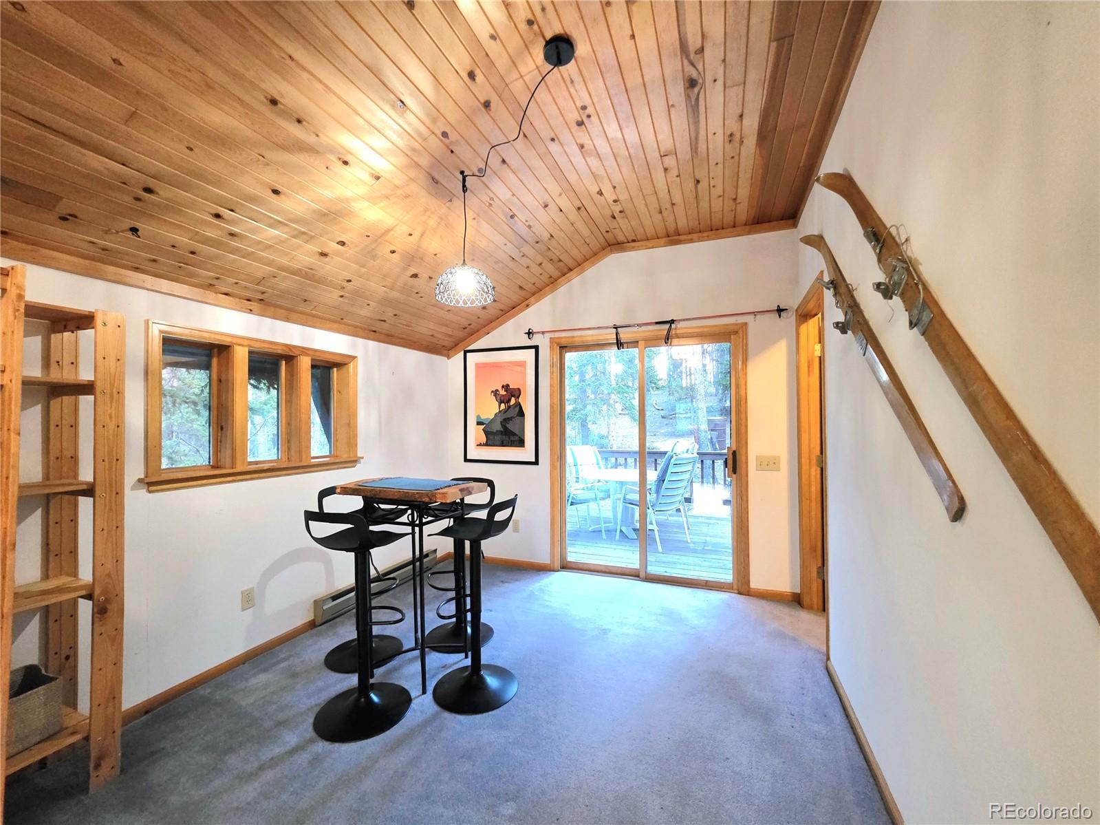MLS Image #20 for 211  pine ridge road,alma, Colorado