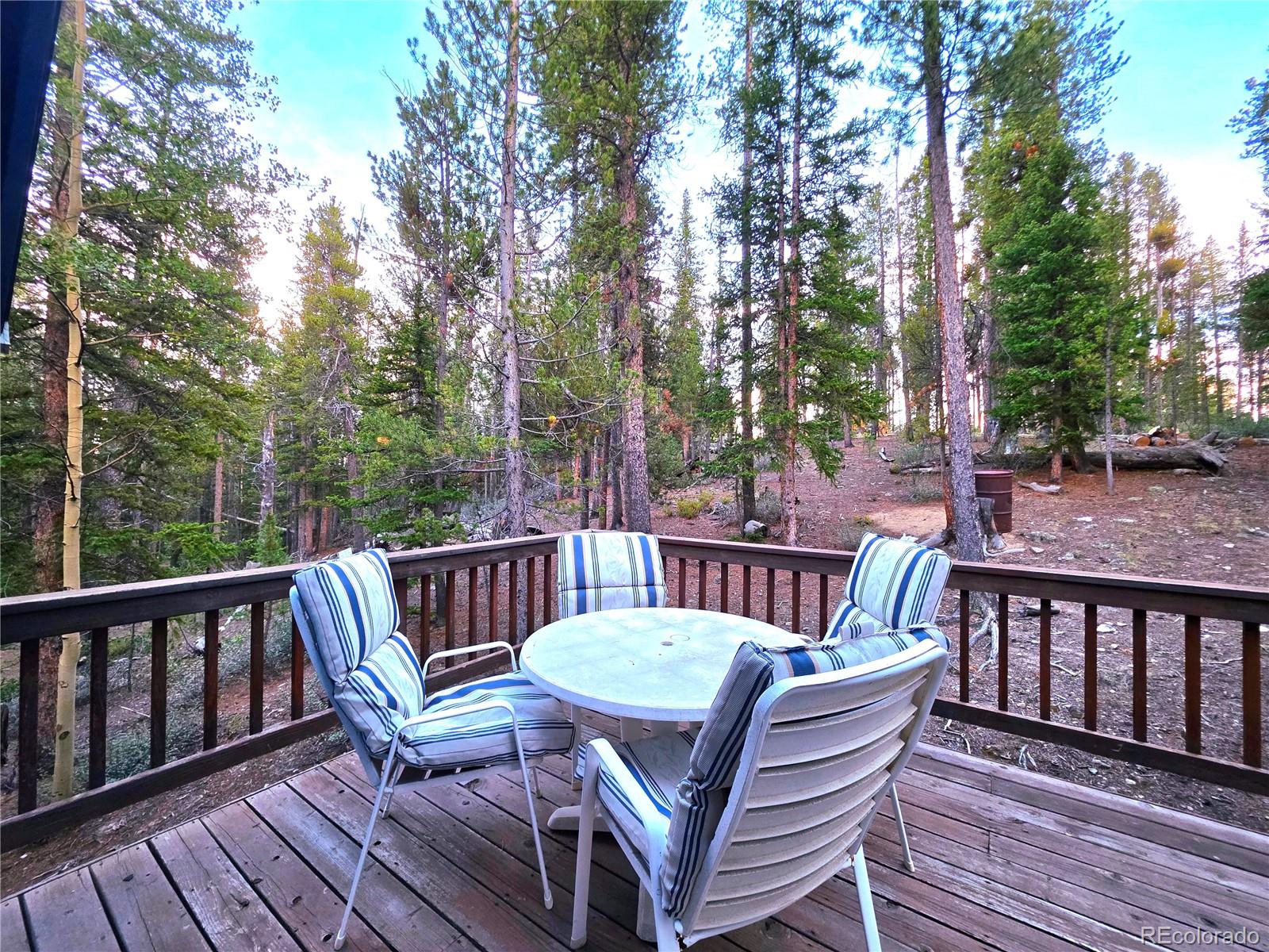 MLS Image #21 for 211  pine ridge road,alma, Colorado
