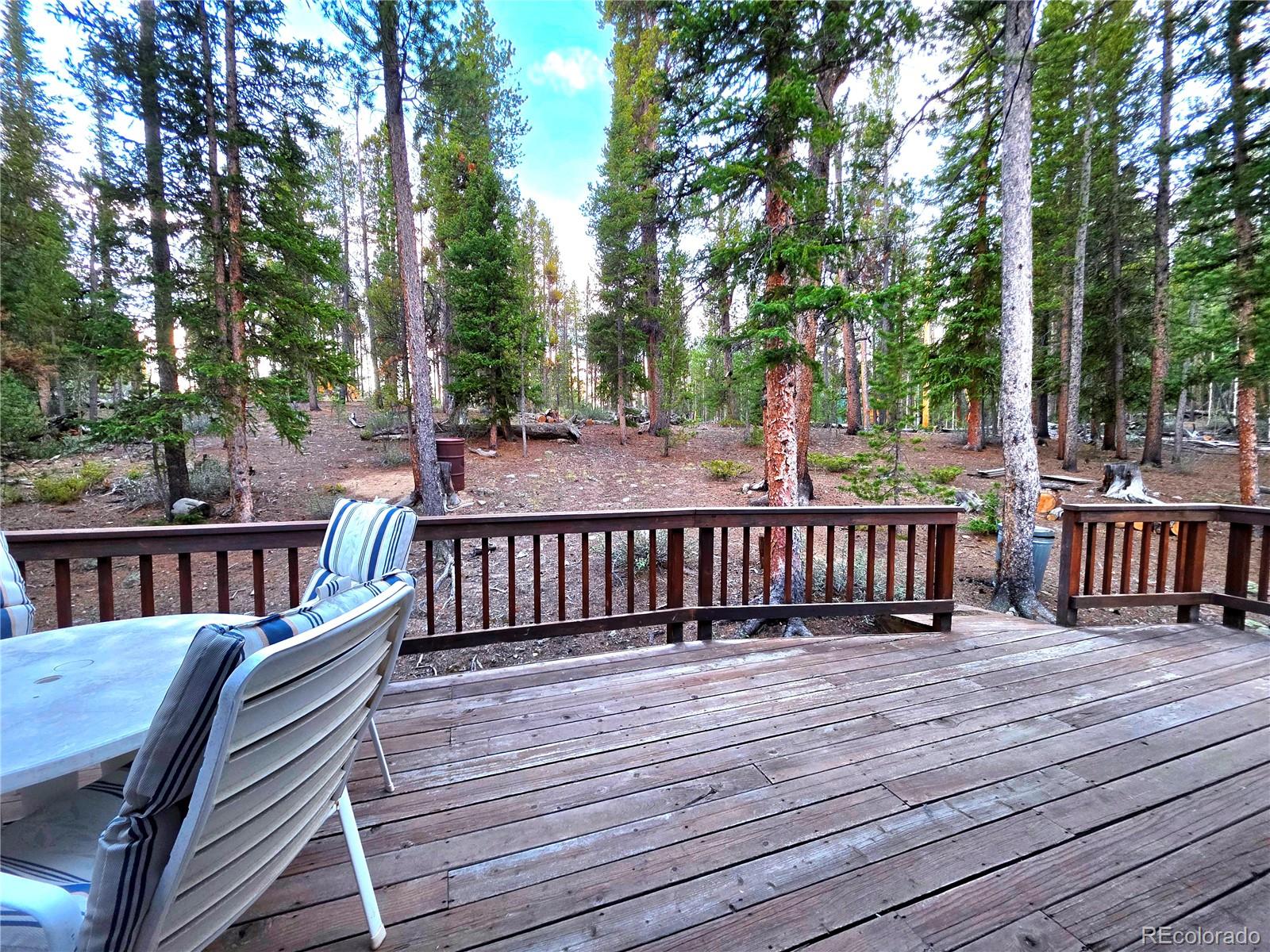 MLS Image #22 for 211  pine ridge road,alma, Colorado
