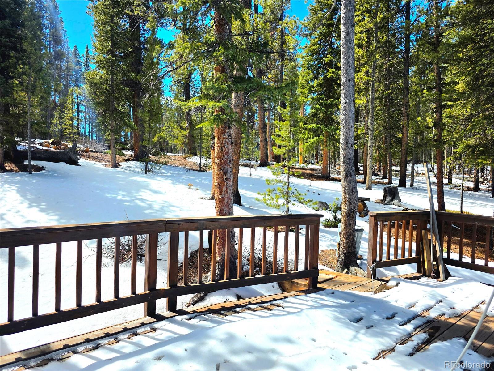 MLS Image #23 for 211  pine ridge road,alma, Colorado