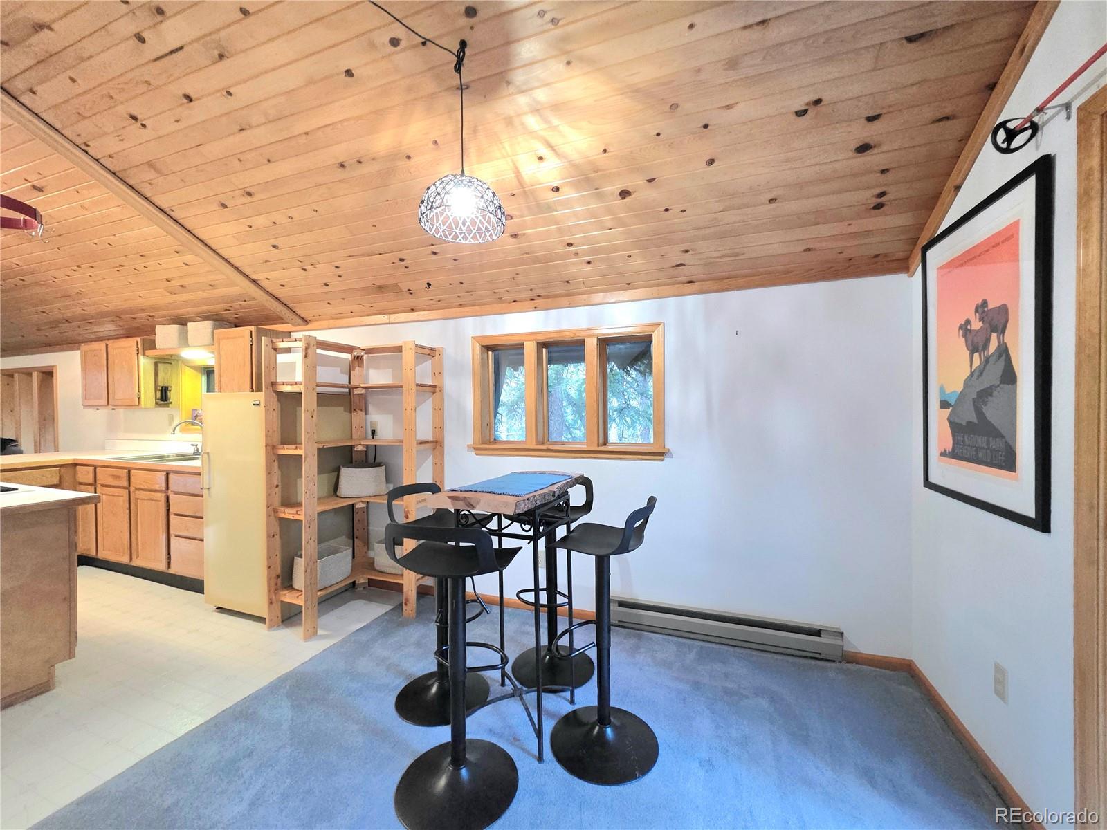 MLS Image #24 for 211  pine ridge road,alma, Colorado