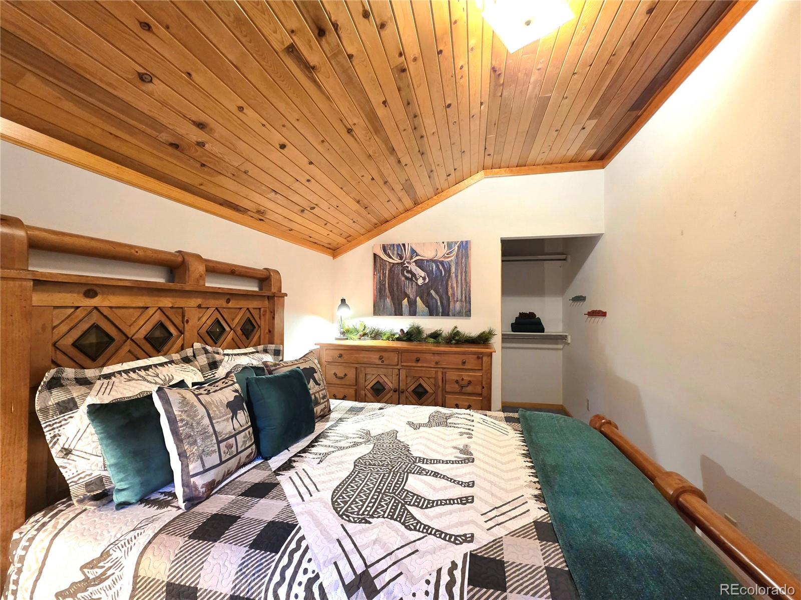 MLS Image #25 for 211  pine ridge road,alma, Colorado