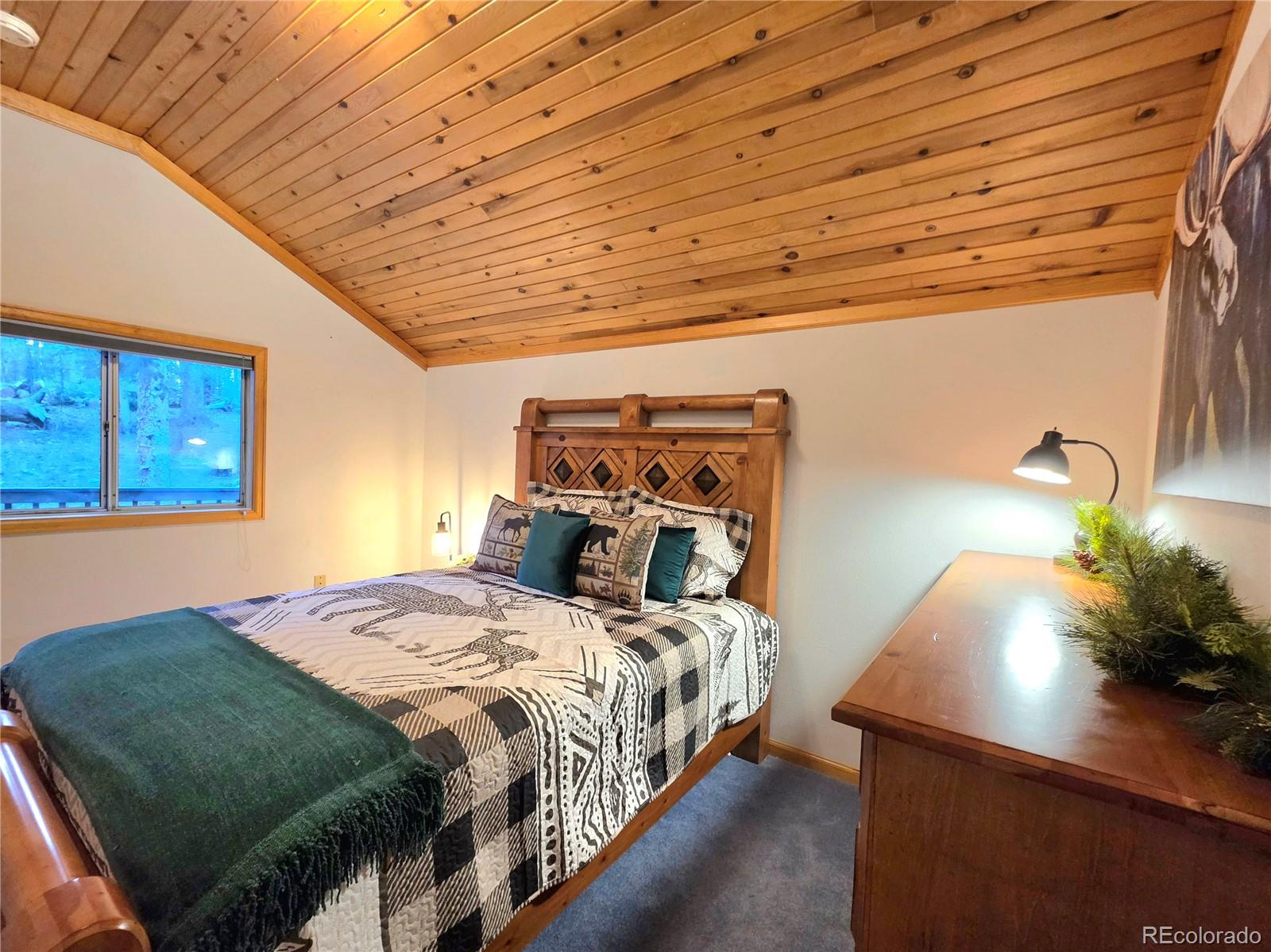 MLS Image #26 for 211  pine ridge road,alma, Colorado