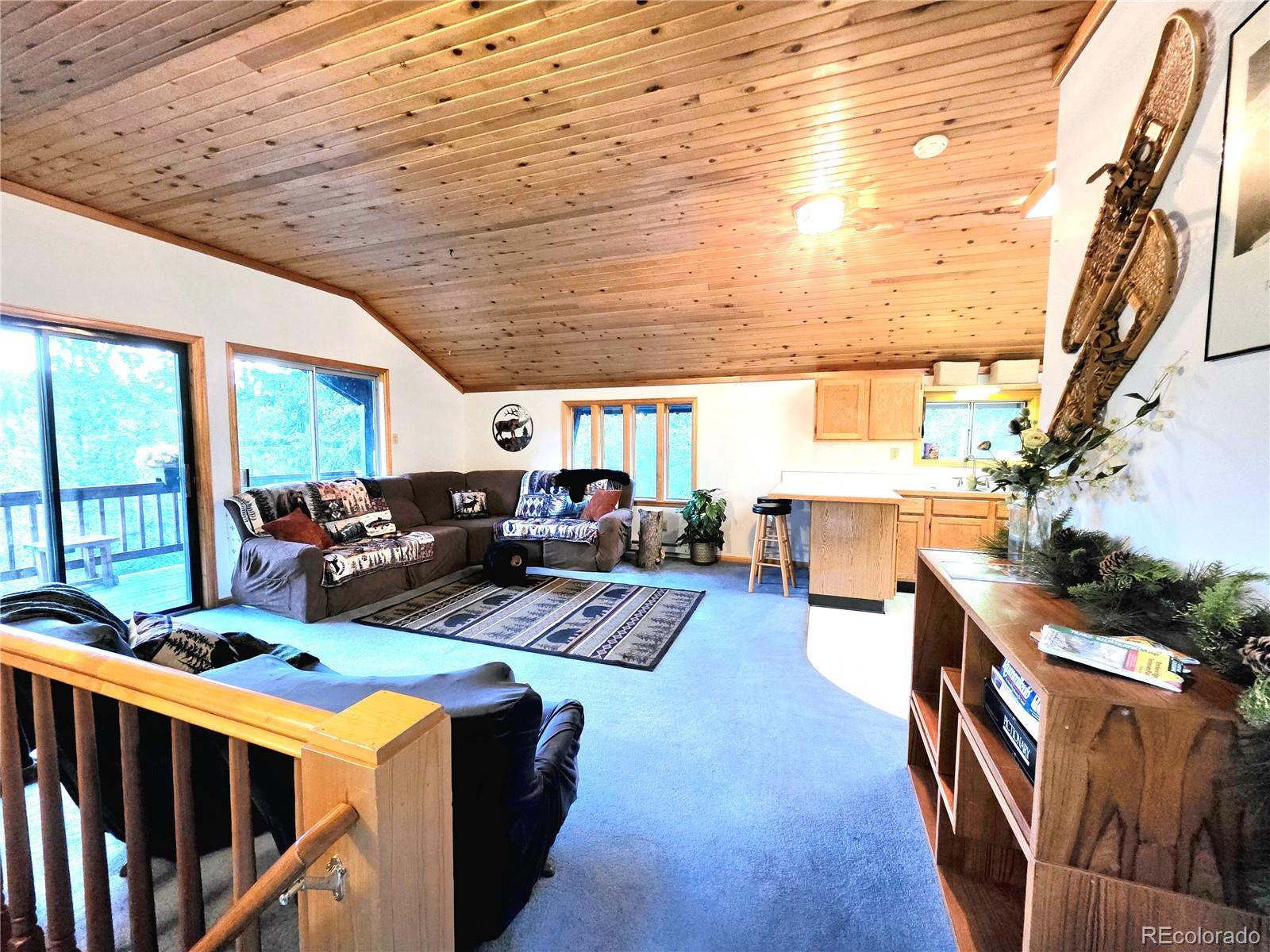 MLS Image #3 for 211  pine ridge road,alma, Colorado