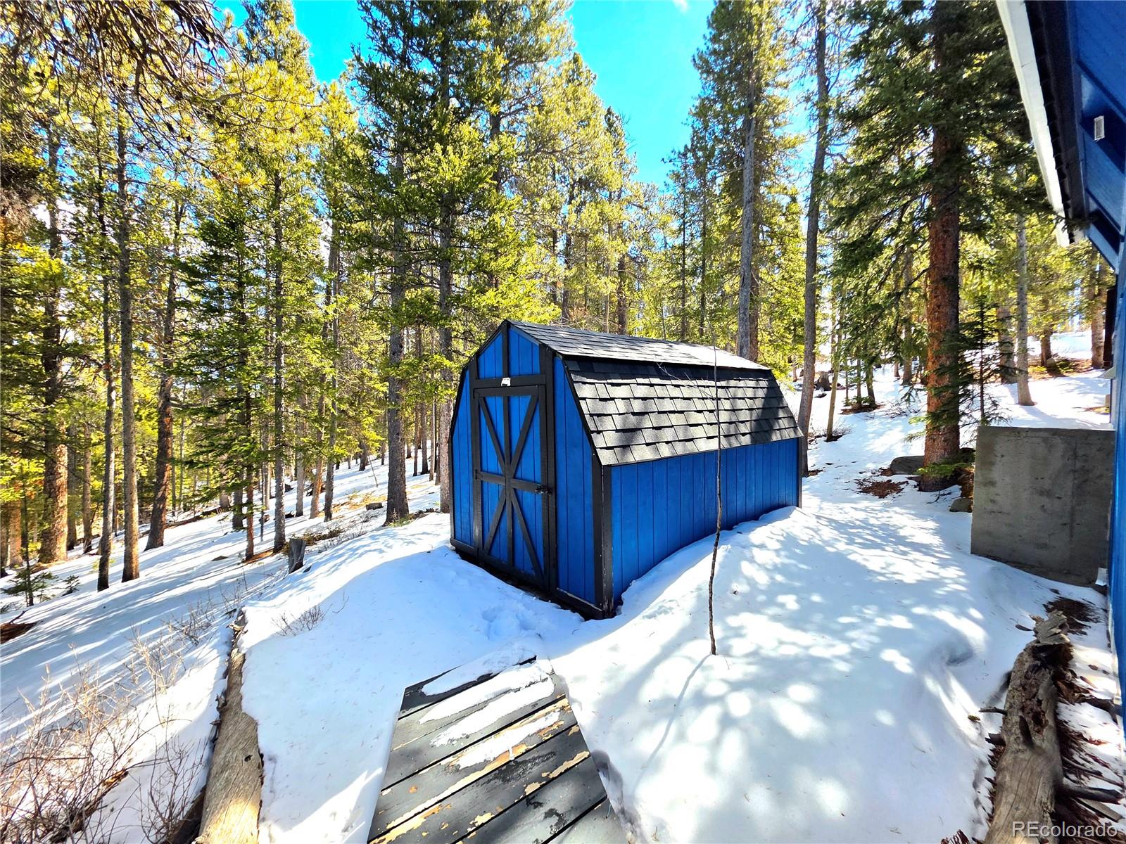 MLS Image #31 for 211  pine ridge road,alma, Colorado