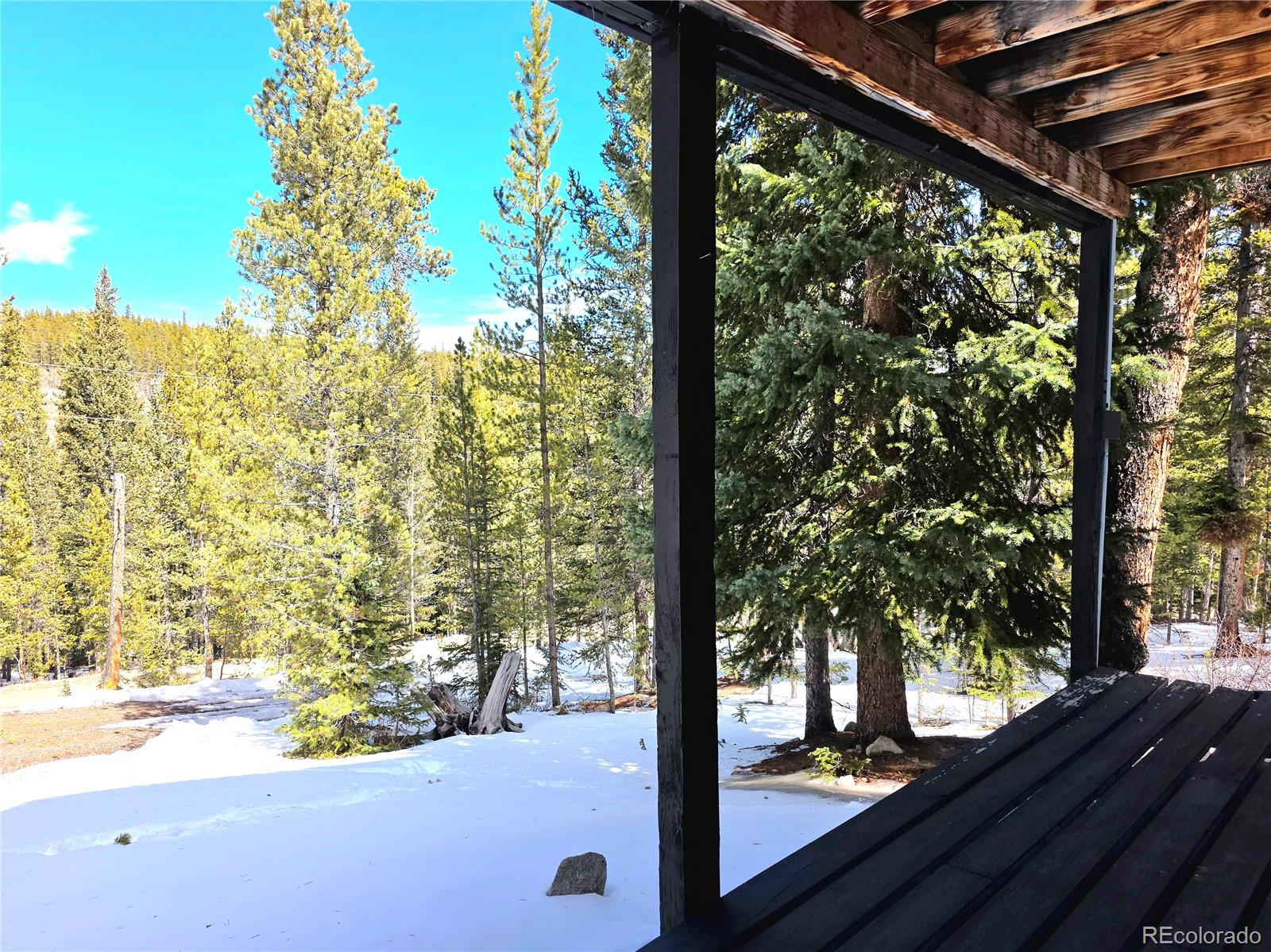 MLS Image #32 for 211  pine ridge road,alma, Colorado