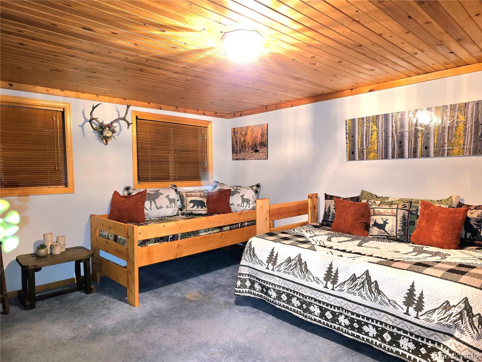 MLS Image #34 for 211  pine ridge road,alma, Colorado