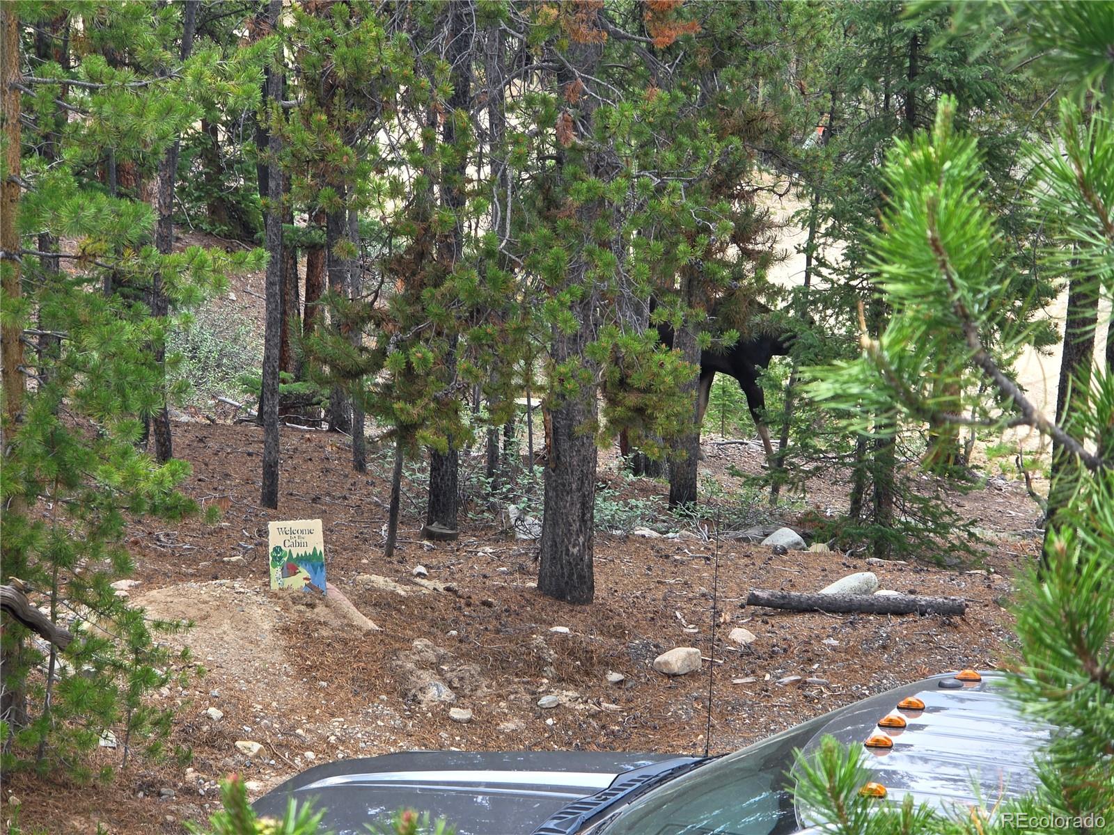 MLS Image #38 for 211  pine ridge road,alma, Colorado