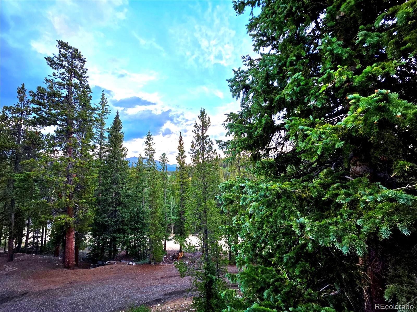 MLS Image #39 for 211  pine ridge road,alma, Colorado