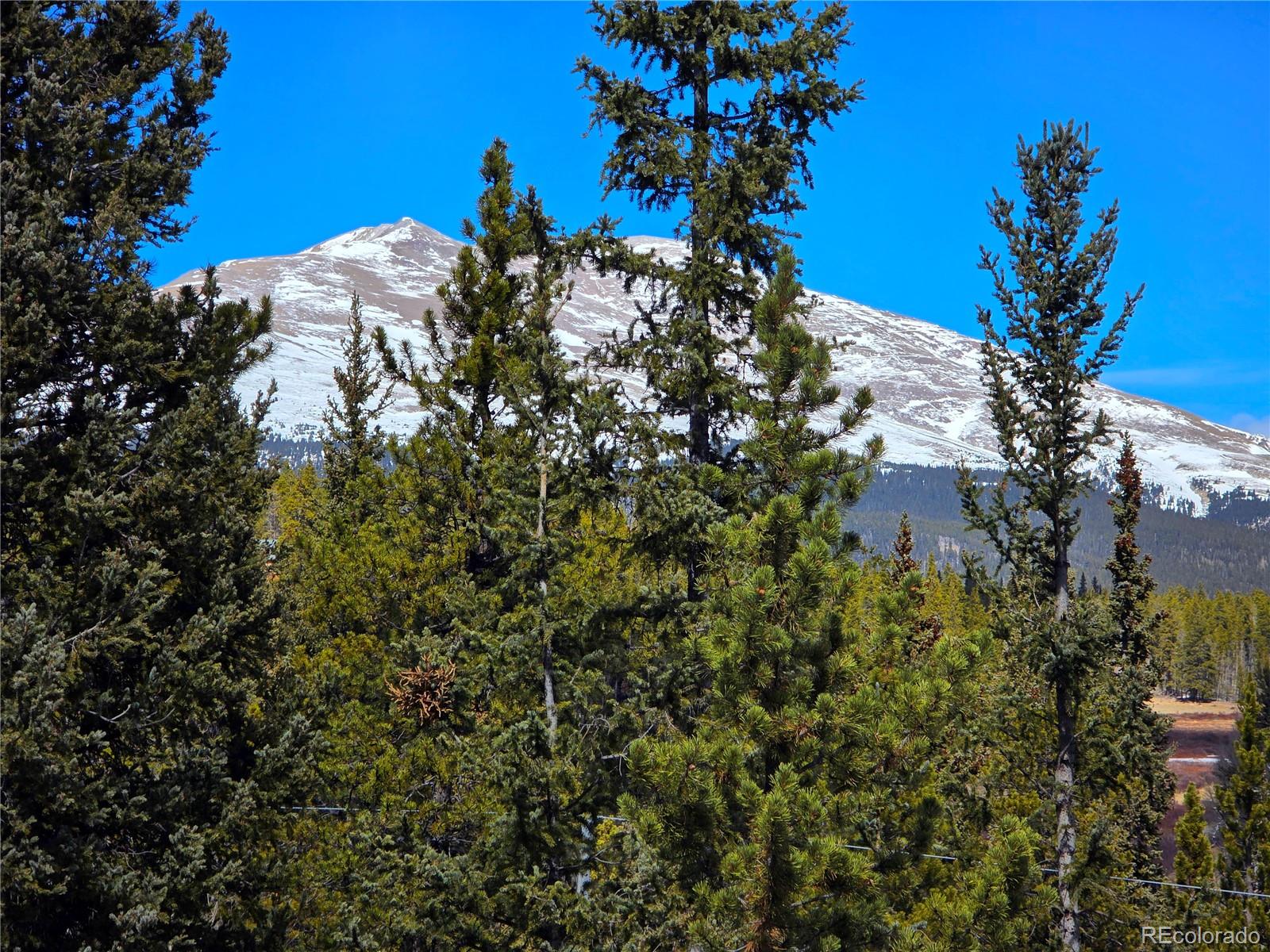 MLS Image #4 for 211  pine ridge road,alma, Colorado
