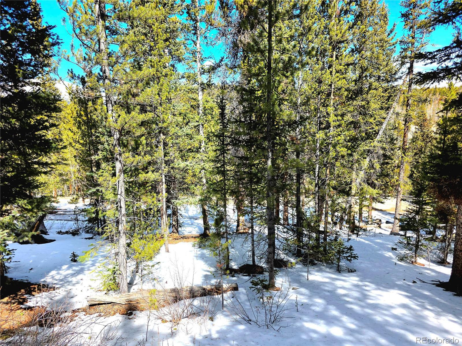 MLS Image #41 for 211  pine ridge road,alma, Colorado