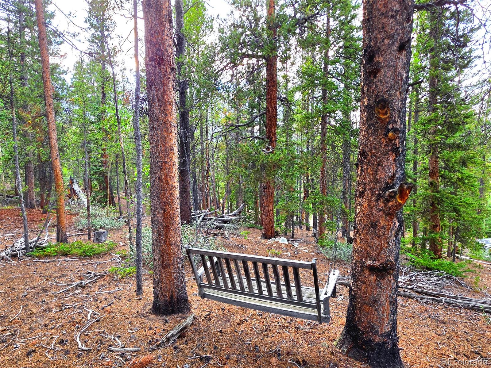 MLS Image #42 for 211  pine ridge road,alma, Colorado