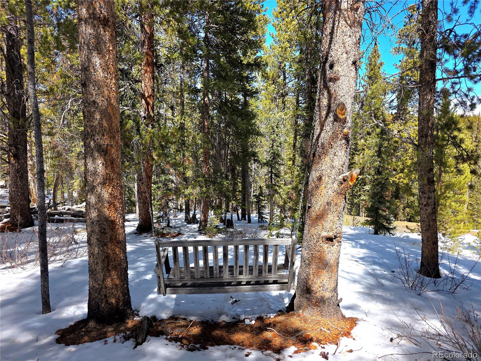 MLS Image #43 for 211  pine ridge road,alma, Colorado