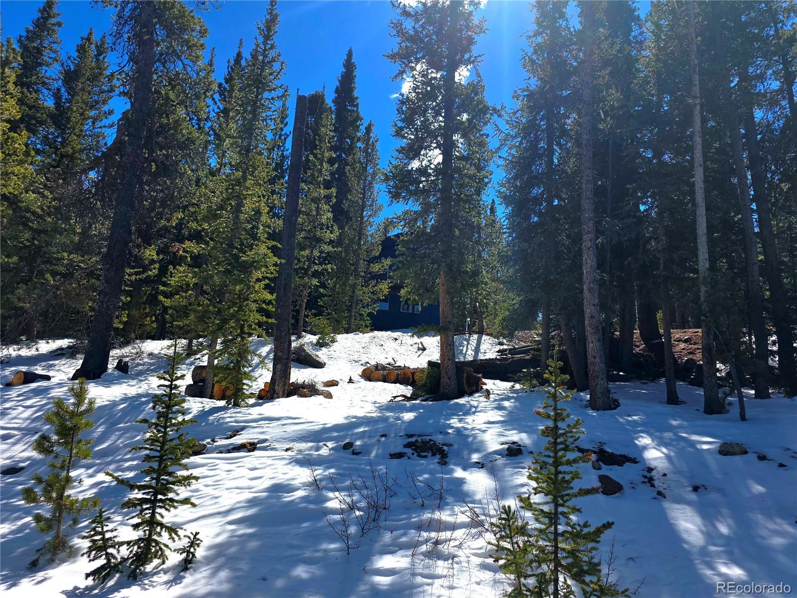 MLS Image #45 for 211  pine ridge road,alma, Colorado