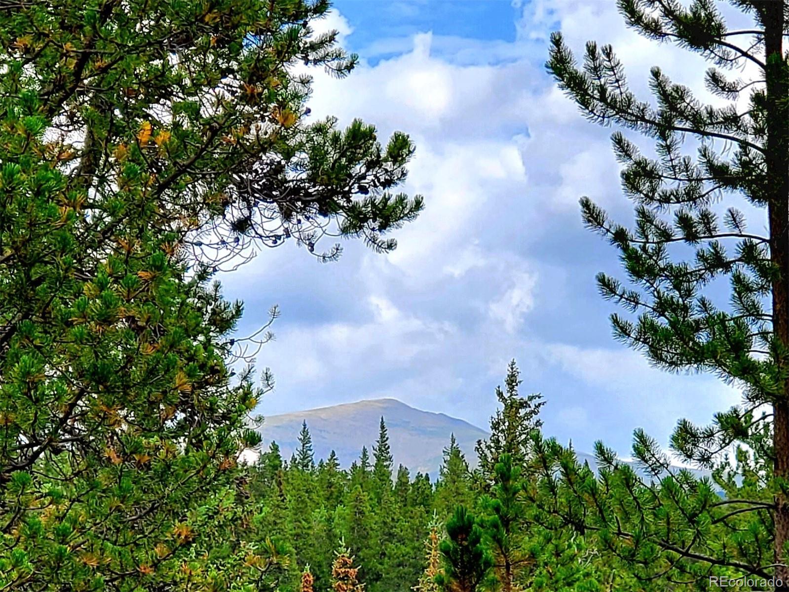 MLS Image #5 for 211  pine ridge road,alma, Colorado