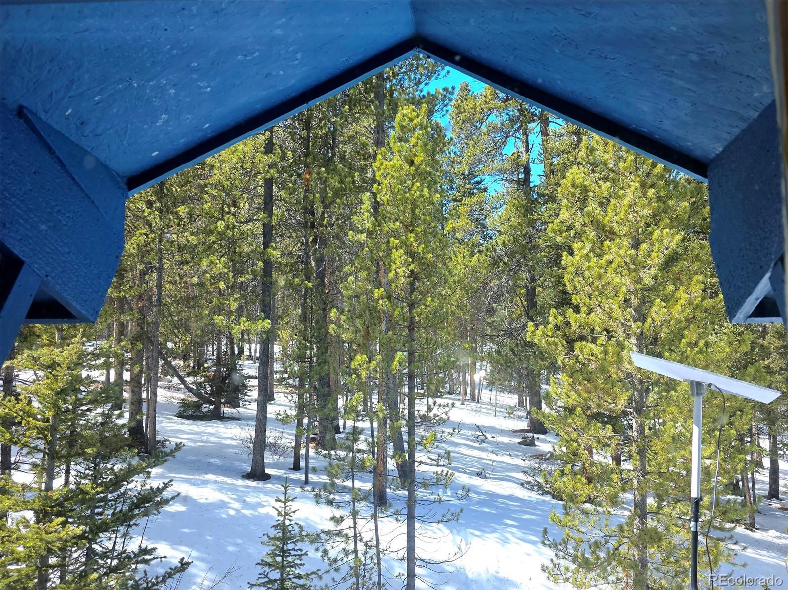 MLS Image #6 for 211  pine ridge road,alma, Colorado