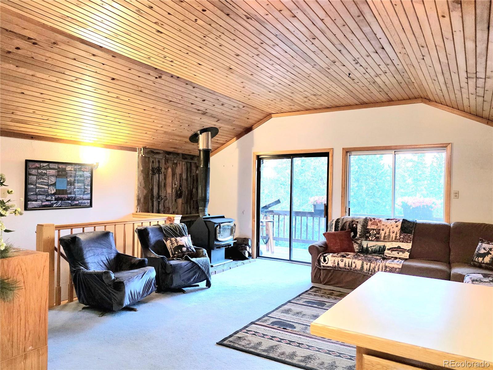 MLS Image #8 for 211  pine ridge road,alma, Colorado