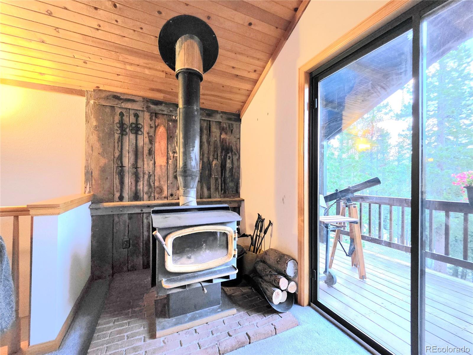 MLS Image #9 for 211  pine ridge road,alma, Colorado