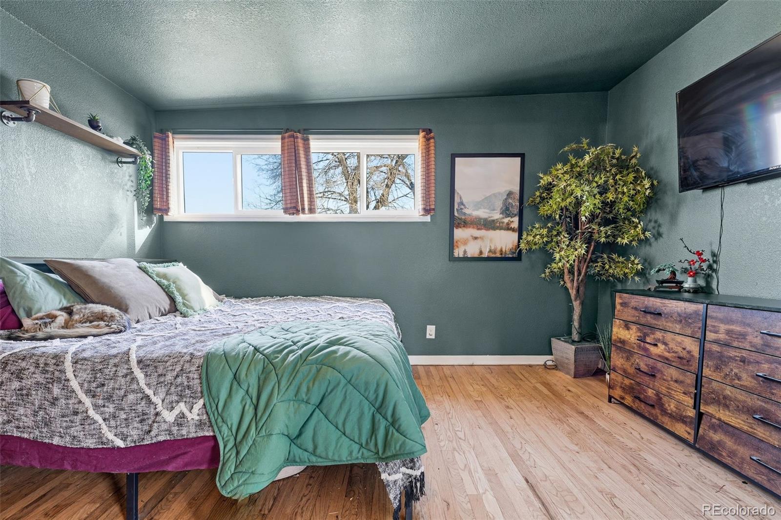 MLS Image #19 for 10050 w kline drive,denver, Colorado