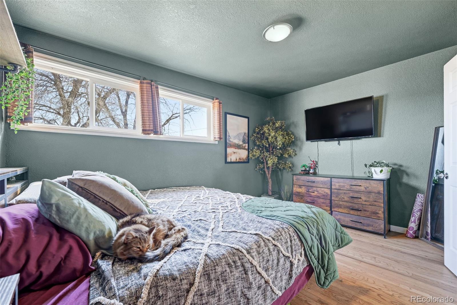 MLS Image #22 for 10050 w kline drive,denver, Colorado