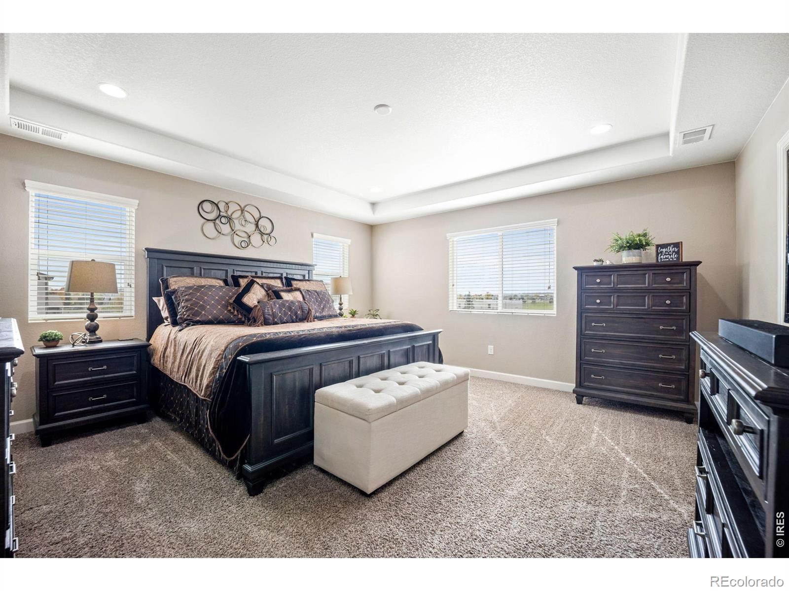 MLS Image #19 for 1621  sorenson drive,windsor, Colorado