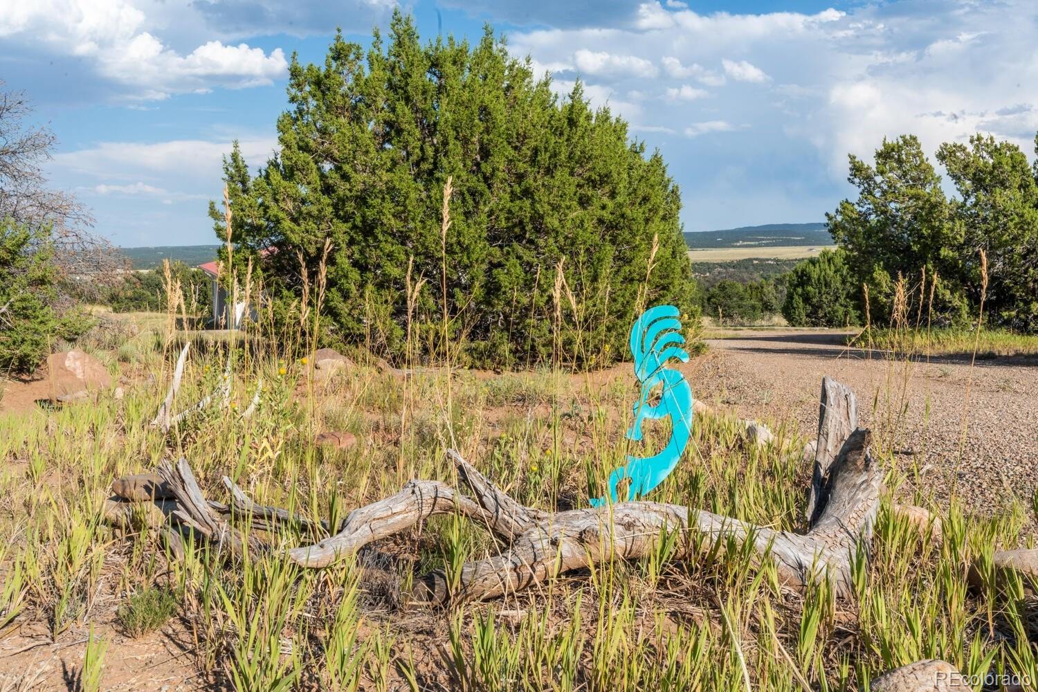 MLS Image #44 for 80  moose trail,walsenburg, Colorado