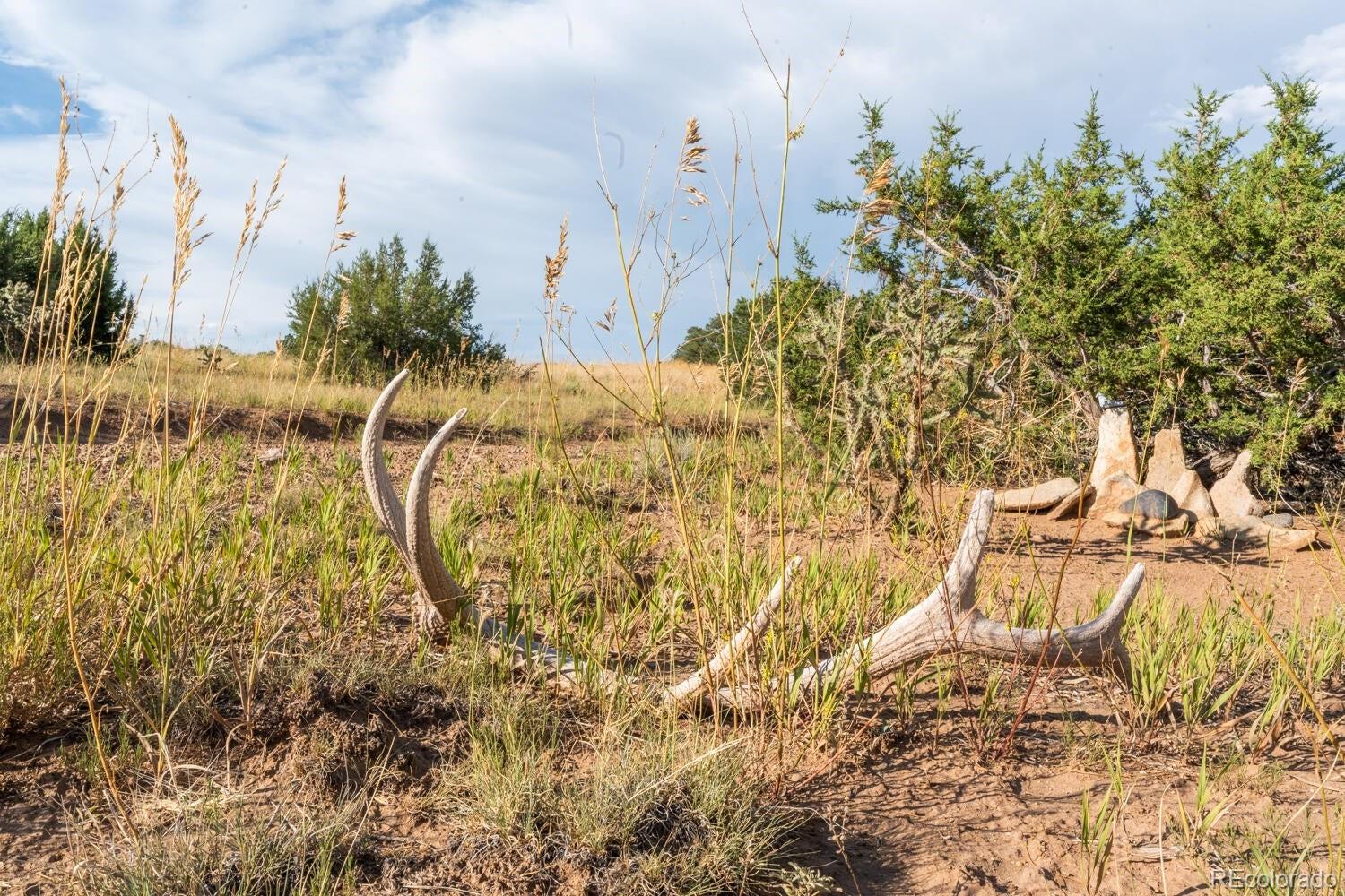 MLS Image #45 for 80  moose trail,walsenburg, Colorado