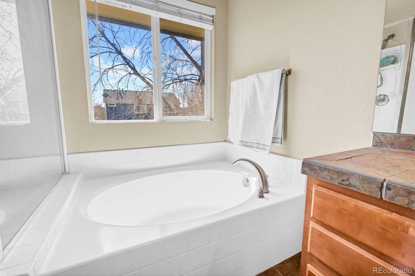 MLS Image #14 for 320  short drive,dacono, Colorado