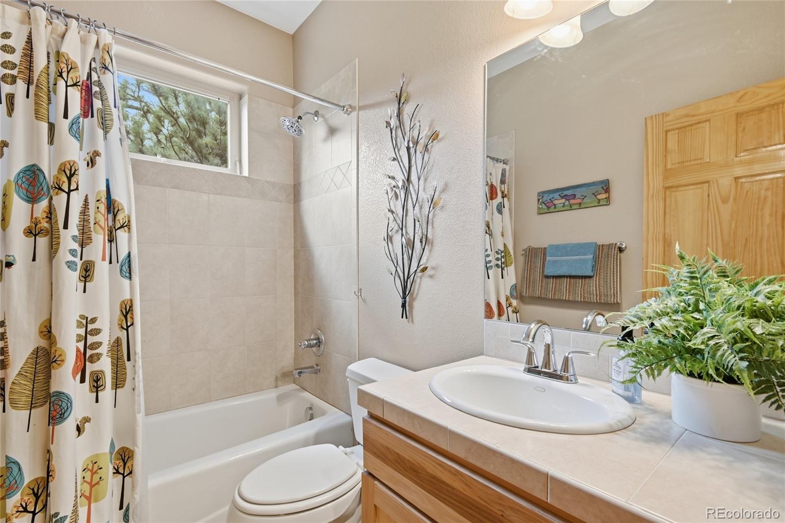MLS Image #12 for 26905  mountain park road,evergreen, Colorado