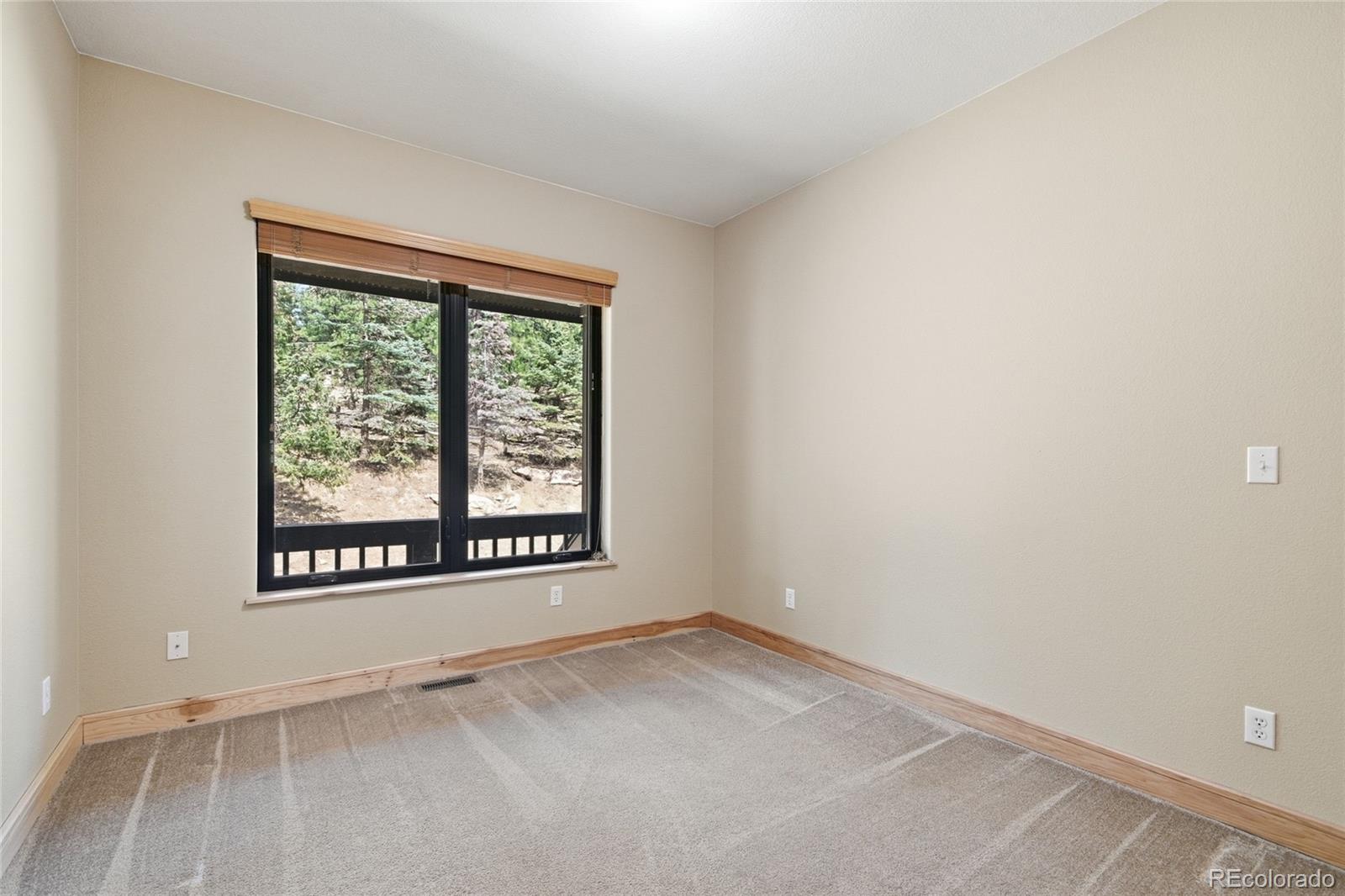 MLS Image #13 for 26905  mountain park road,evergreen, Colorado