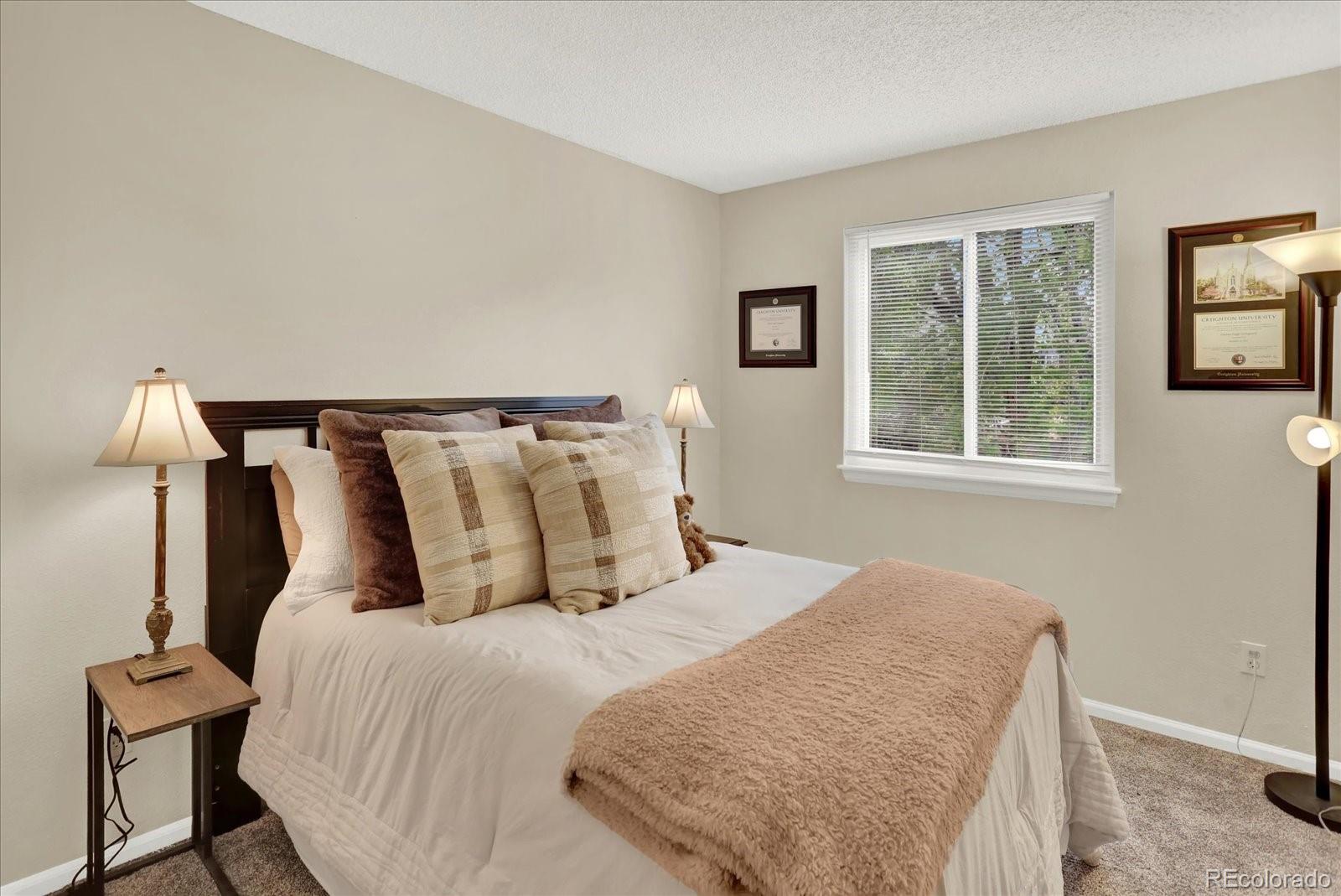MLS Image #16 for 9689  townsville circle,highlands ranch, Colorado