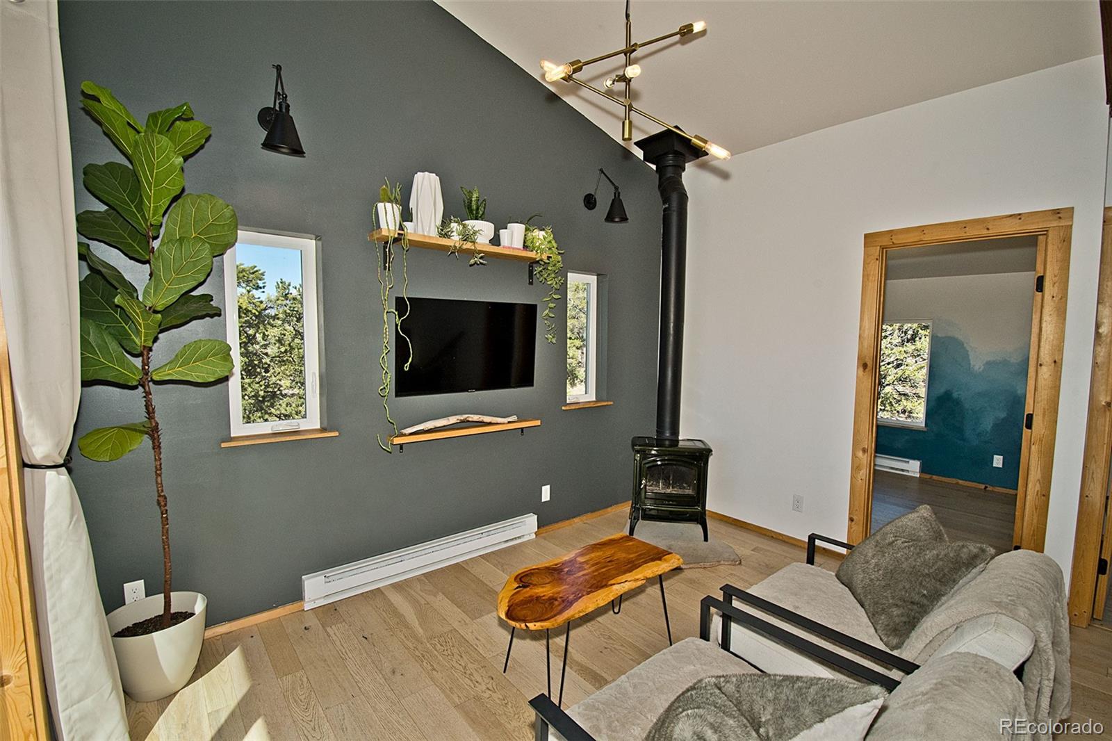 MLS Image #17 for 4352  rarity way,crestone, Colorado