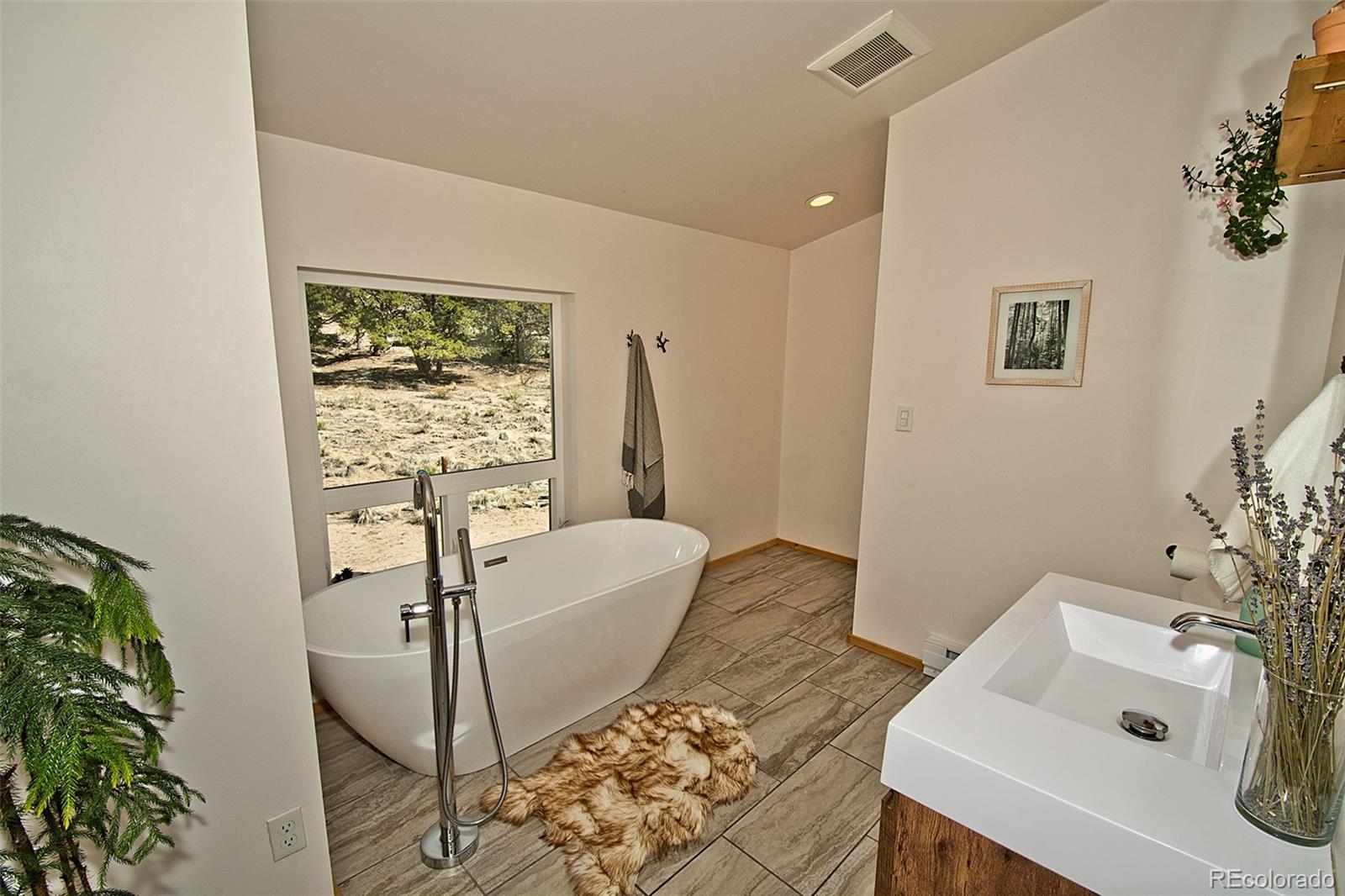 MLS Image #27 for 4352  rarity way,crestone, Colorado