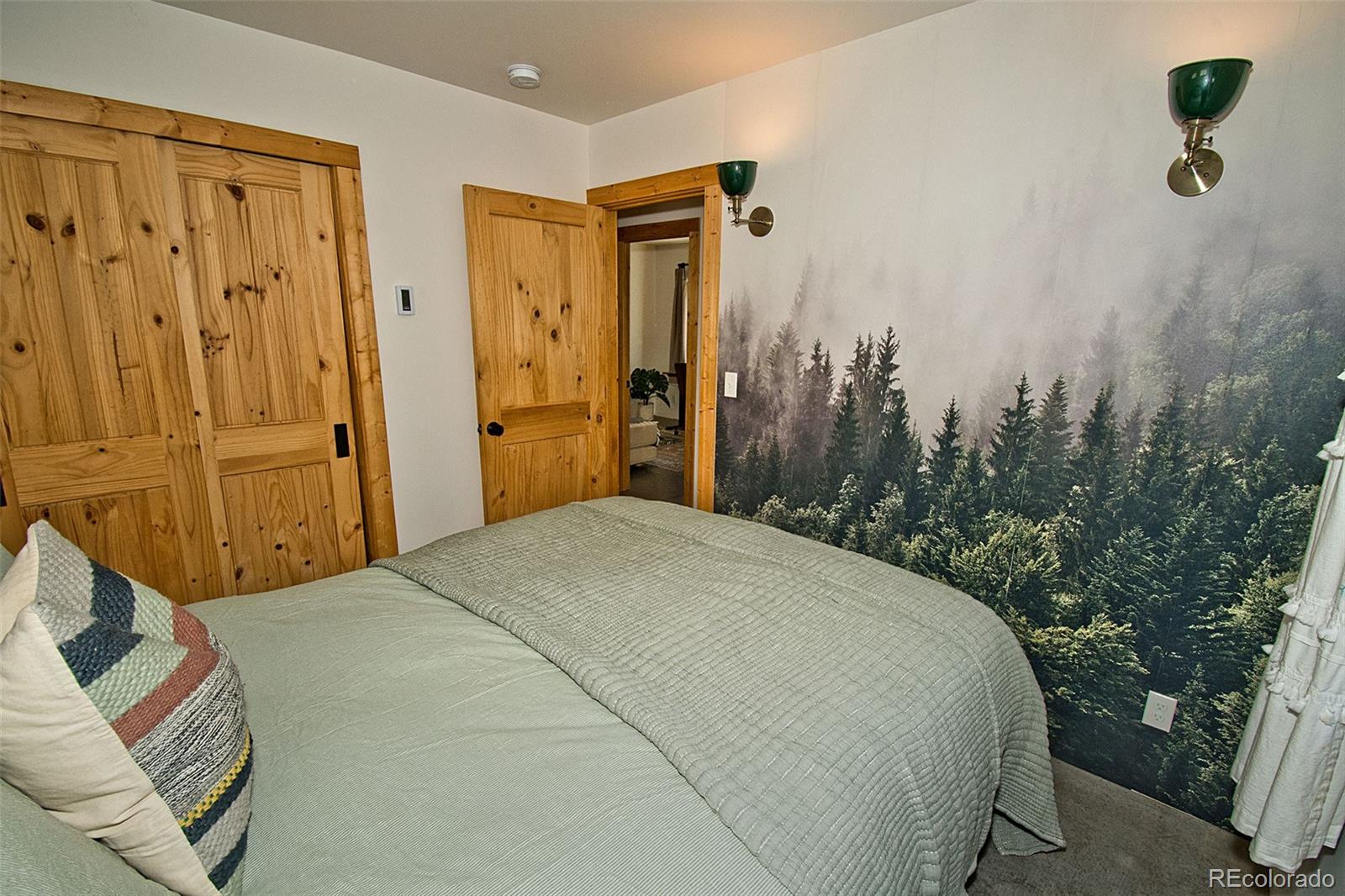 MLS Image #32 for 4352  rarity way,crestone, Colorado