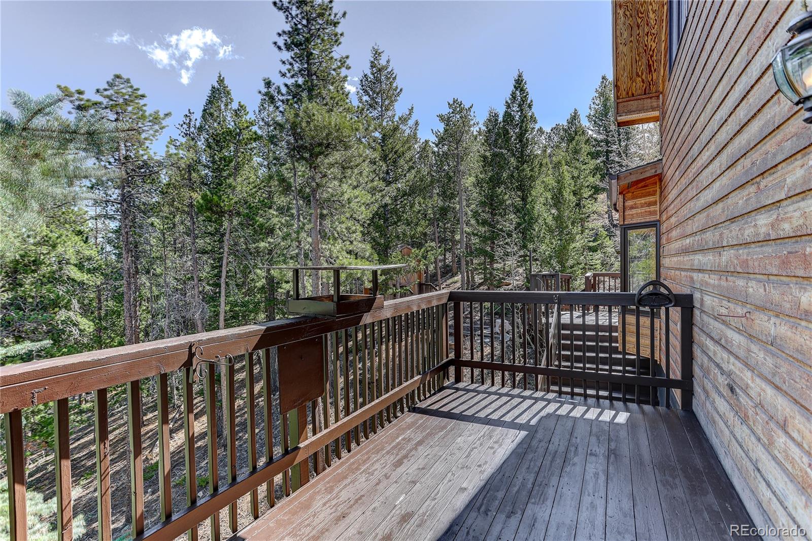 MLS Image #17 for 4030  ridge road,nederland, Colorado